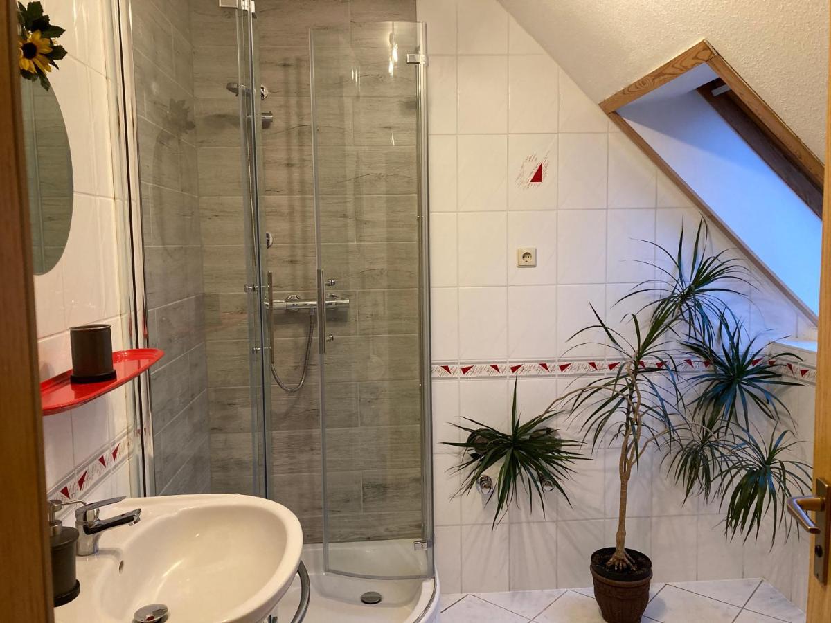 Apartmán Ferien In Sachsen Bischofswerda Exteriér fotografie